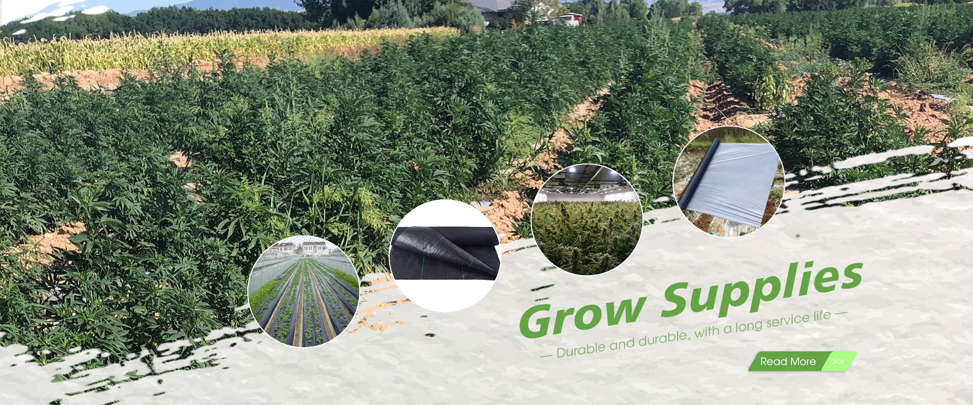 Kina Grow Supplies